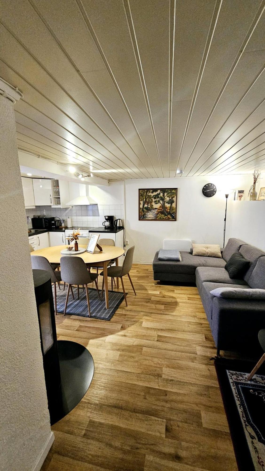 Central And Large Cosey Apartment Stavanger Ngoại thất bức ảnh
